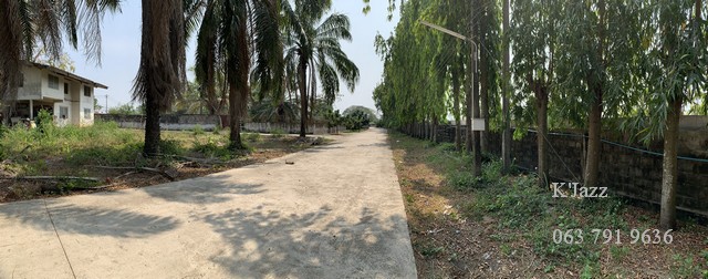 ขาย ที่ดิน ติดถนนใหญ่ 21 ไร่ ตรงข้ามฟาร์มจรเข้ศรีราชา ชลบุรี