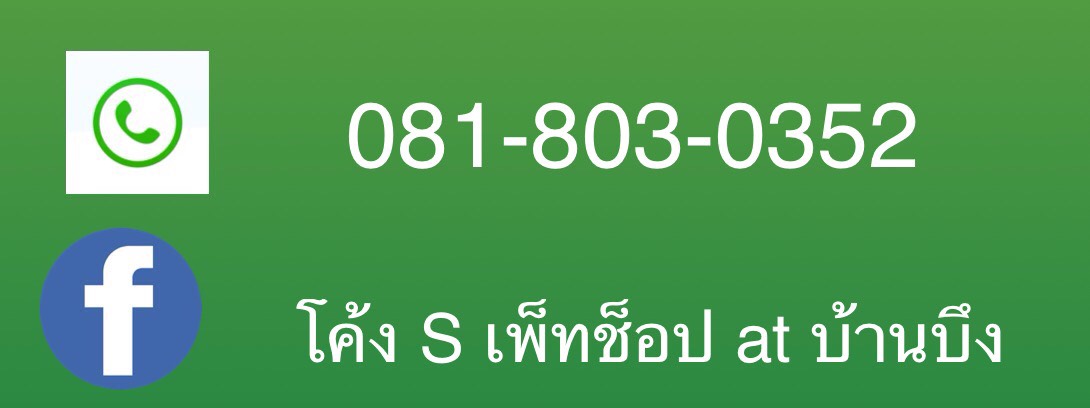 โค้งSเพ็ทช็อป@บ้านบึง