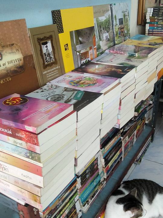 หนังสือมือสองสภาพดี หนังสือเก่า หนังสือน่าอ่าน ลดพิเศษ สูงสุด 70 เปอร์เซ็นต์
