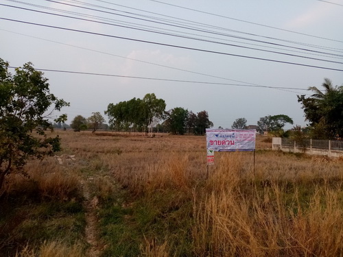 ขายที่ดิน 1-3-56 ไร่ ทำเลดี ต.นาหนาด  อ.ธาตุพนม จ.นครพนม