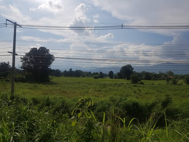 ขายที่ดินโปรพิเศษติดถนนเอเซีย  ริมถนนพหลโยธิน  3-1-40ไร่ ต.ตากออก อ.บ้านตาก จ.ตาก