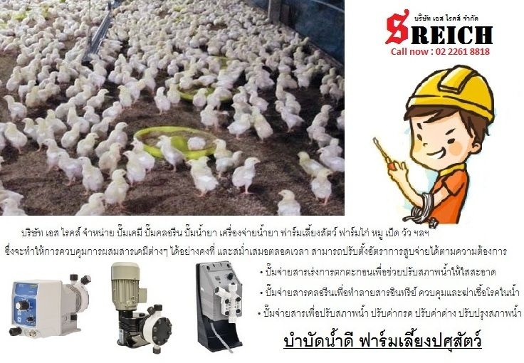 คลอรีนมีประโยชน์ดังนี้