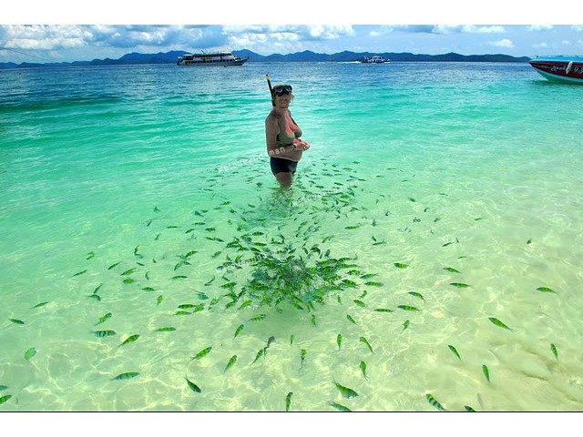 ทัวร์เกาะพีพี เกาะไข่ เรือเร็ว