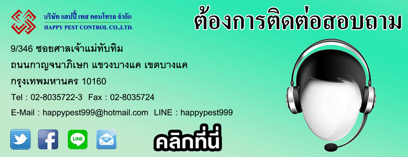 Happy pest  บริษัทกำจัดปลวก มด แมลงสาบ หนู ยุง และแมลงอื่นๆ