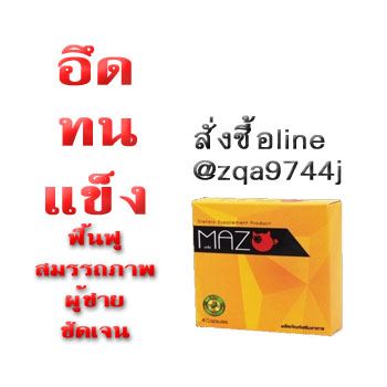 เสื่อมสมรรถภาพ มะเขือเผา MaZO อาหารเสริมผู้ชาย สูตรสมุนไพรฟื้นฟู อึด ทน แข็งกว่าเดิม