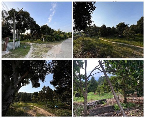 ขายที่สวนทุเรียน เมืองระยอง ติดแหล่งน้ำธรรมชาติ ใกล้ทะเล ด้านหลังเป็นเขายายดา เนื้อที่ 4 ไร่ 3 งาน 29 ตร.ว. ไร่ละ 2.5 ลบ. โทร 0852619111